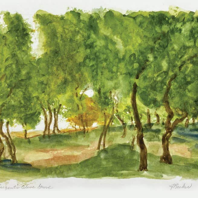 Sargent's Olive Grove Artwork Card by Sister Jane Becker for wholesale by Monastery Baked Goods
