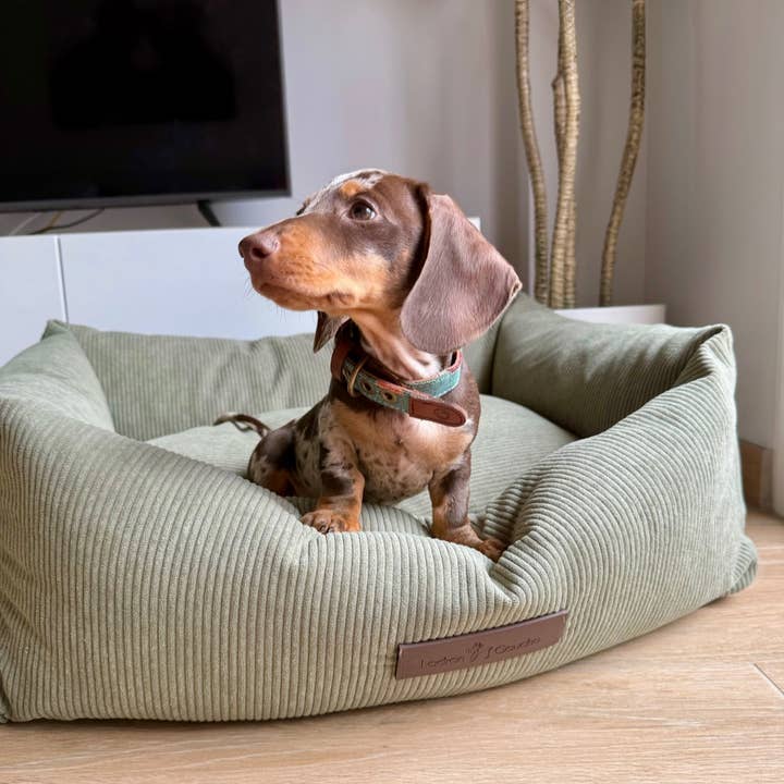 Ladran Gaucho - Wholesale Pet Bed - Dog - Pradera corduroy bed cover