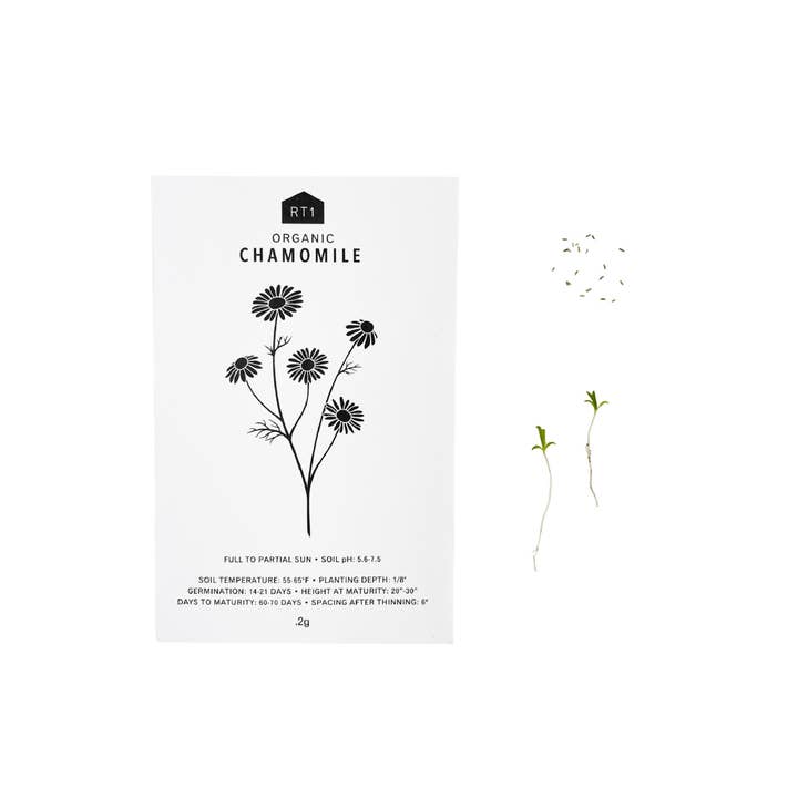 RT1home - Wholesale Plant Seeds - MEDICINAL HERB SEEDS - PACK OF 5