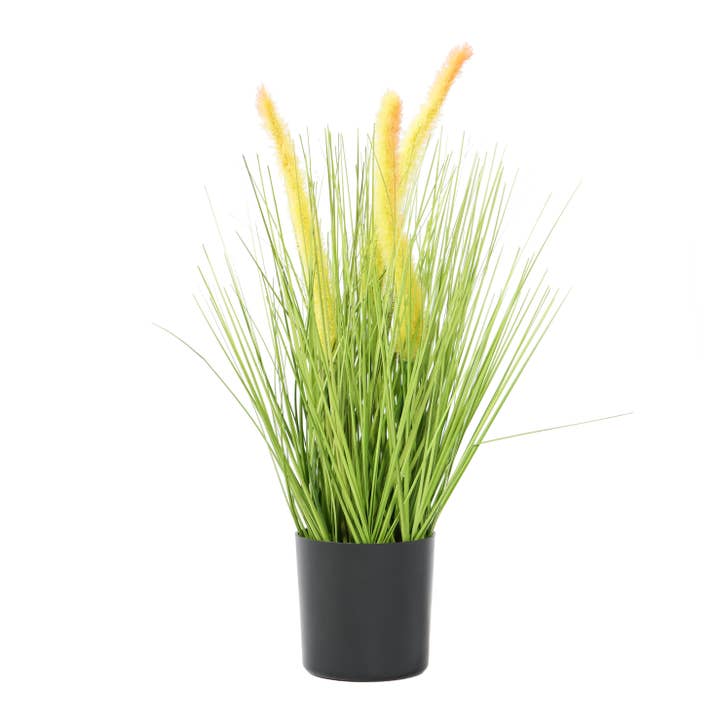 Michael & Philipp Noll e. K. - Wholesale Artificial Plant - artificial grass, artificial grass, decorative grass, artificial plant3