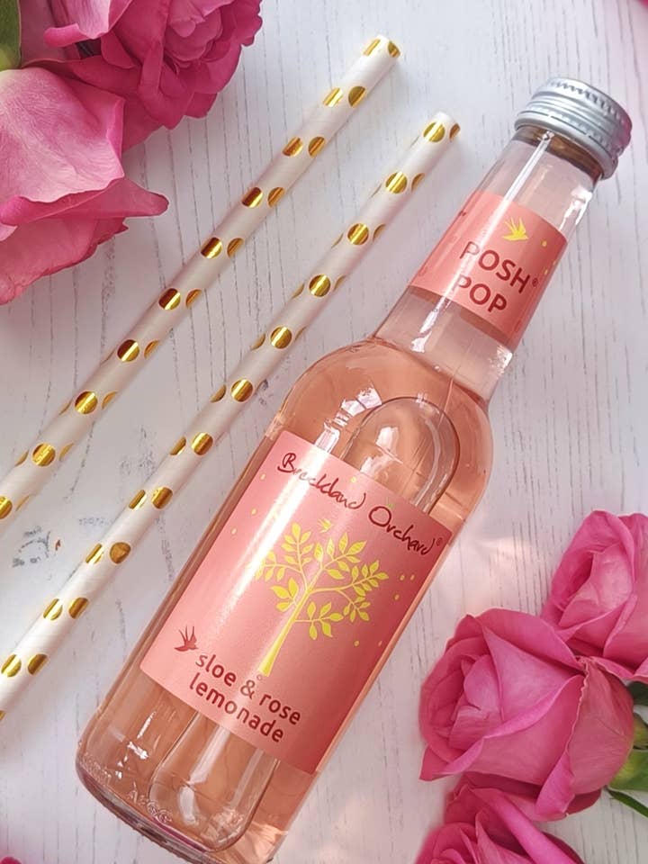 Sloe and Rose Posh Pop 12 x 275ml by Breckland Orchard for wholesale by Breckland Orchard