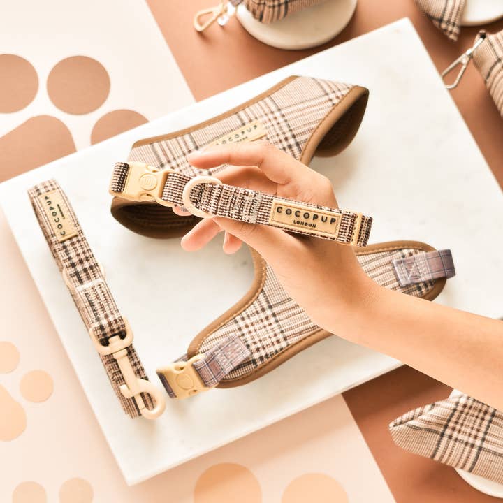 Kragen Pup mit Schottenmuster für den Großhandel von Cocopup London