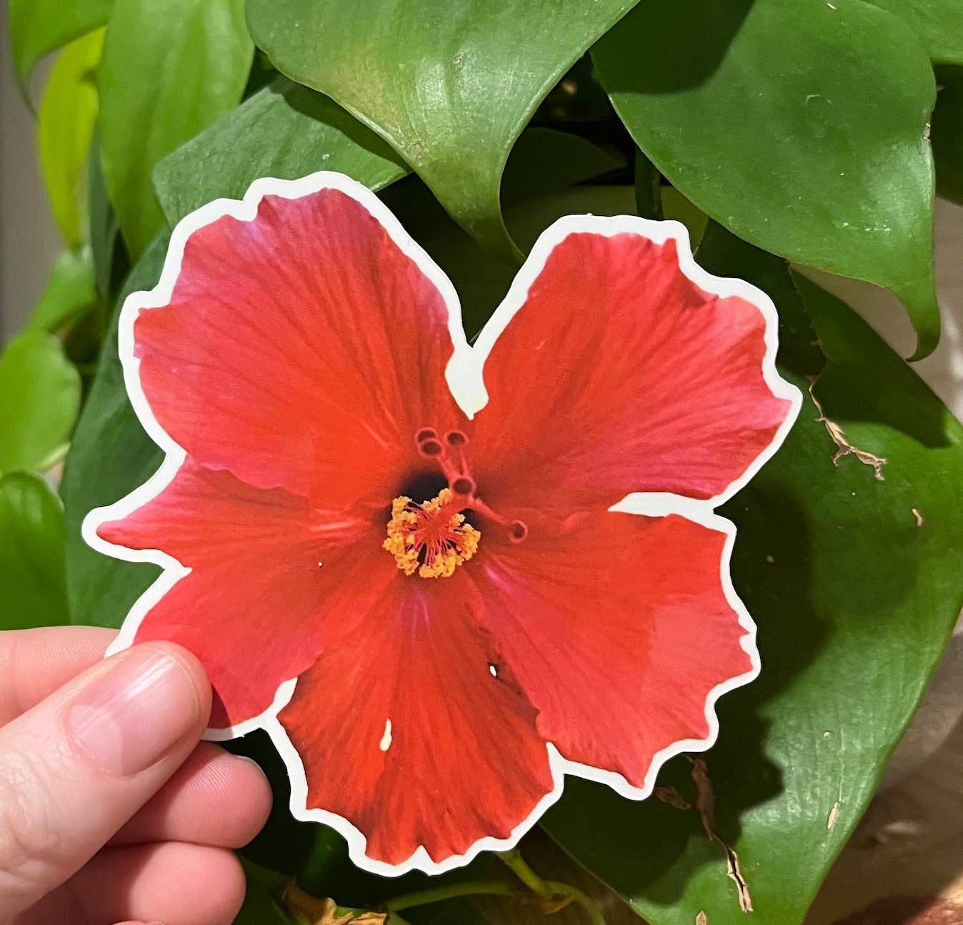 Stick Outside - Wholesale Sticker - Hawaii Hibiscus Flower Sticker2