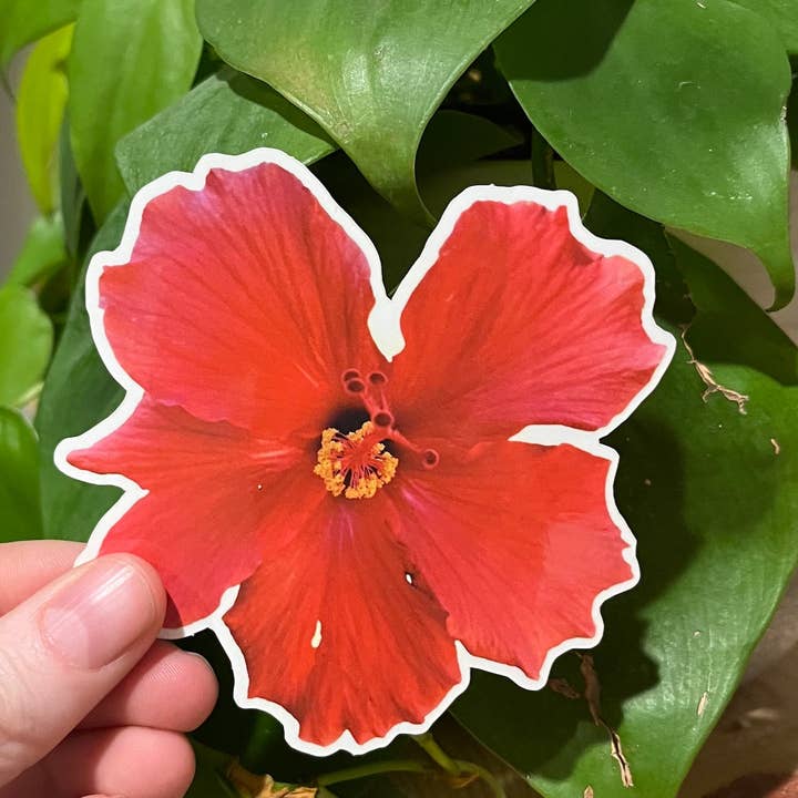 Stick Outside - Wholesale Sticker - Hawaii Hibiscus Flower Sticker2