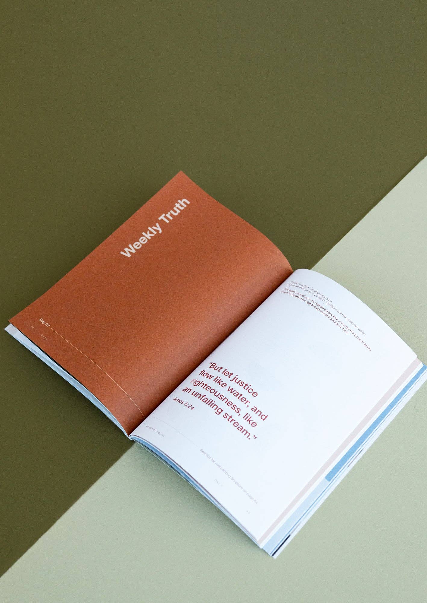 She Reads Truth - Wholesale Religion Book - Amos Men's Reading Guide5