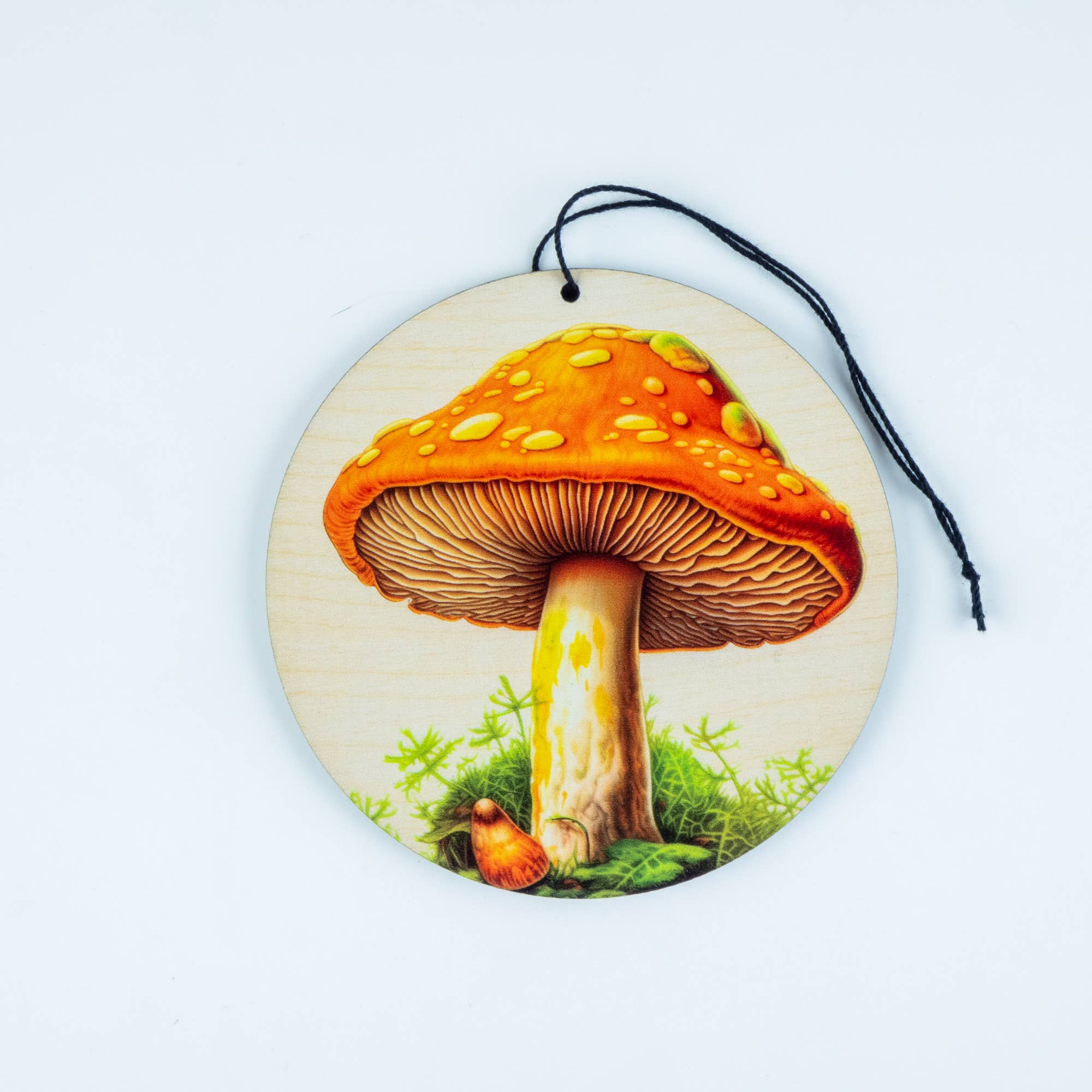 Standish House - Vente Objets de décoration - Ornements de vacances champignons, Noël, style cottage et sorcier11