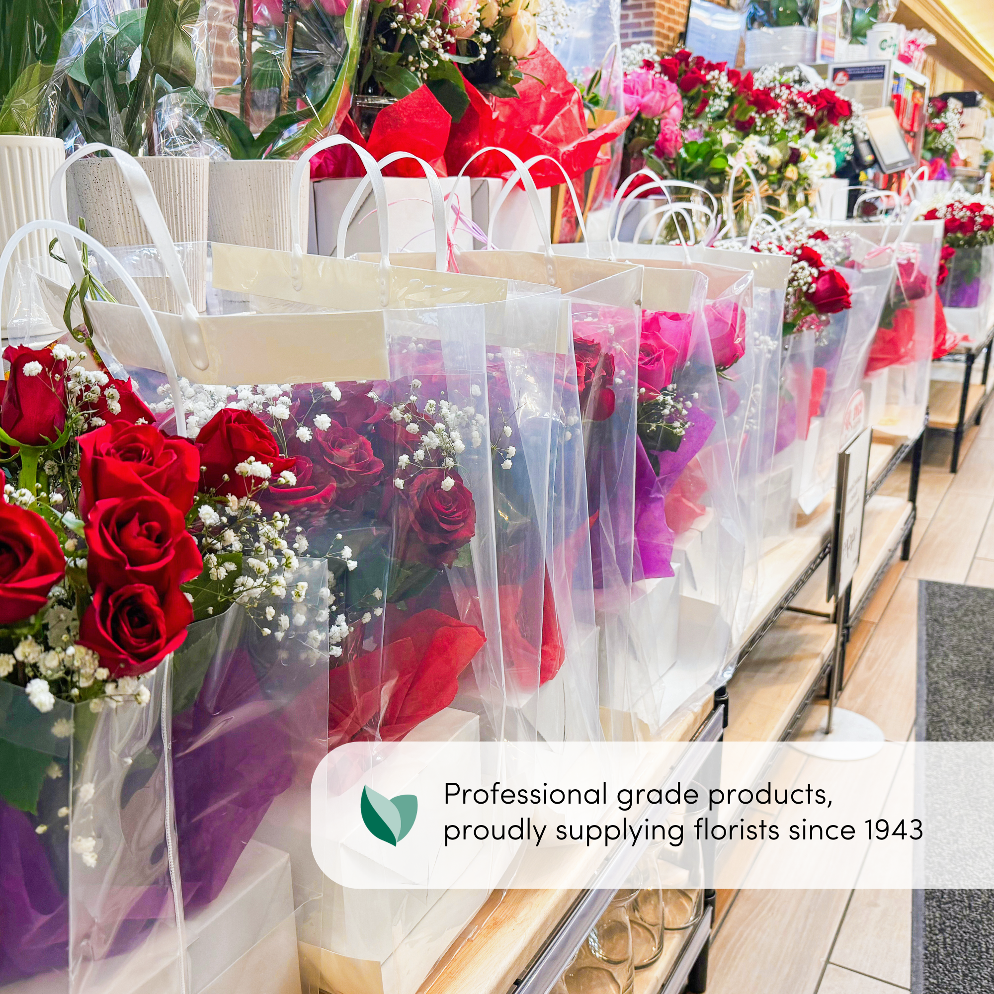 Jacobson - Wholesale Gift Bag - 100PK - Clear Plastic Carry Out Bags - Floral Supplies4