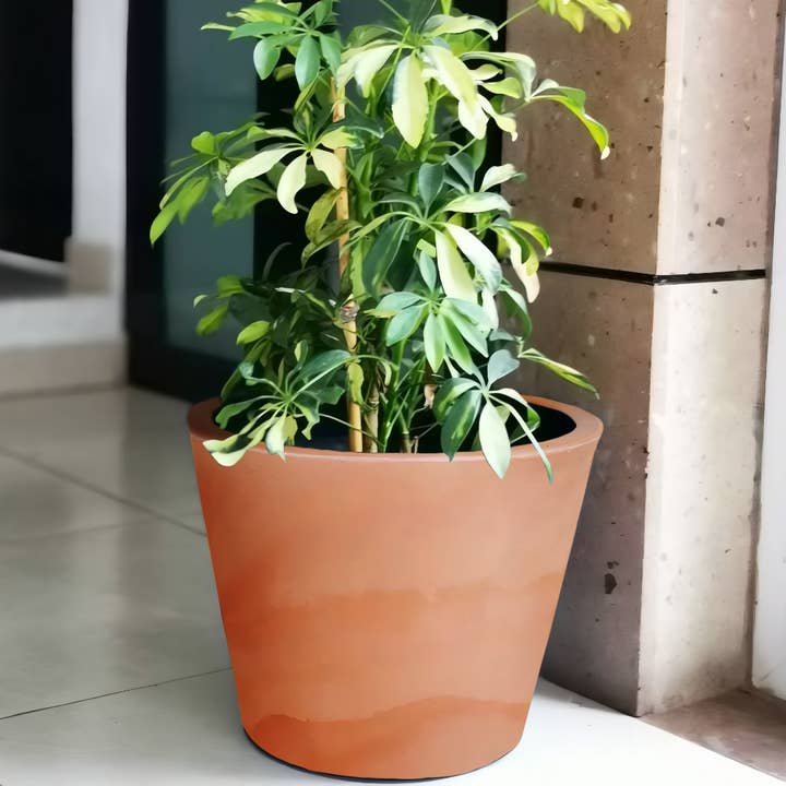 Ecobo – Vaso de plantas por atacado – Plantador de Vasos Cozumel11