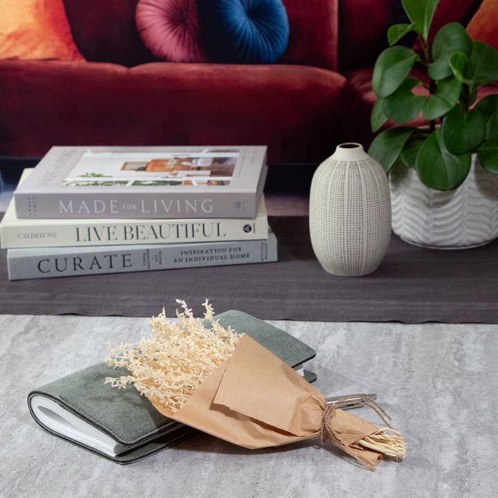 Andaluca - Wholesale Dried/Pressed Flowers - MINI Corn Broom Grass Bundle #854