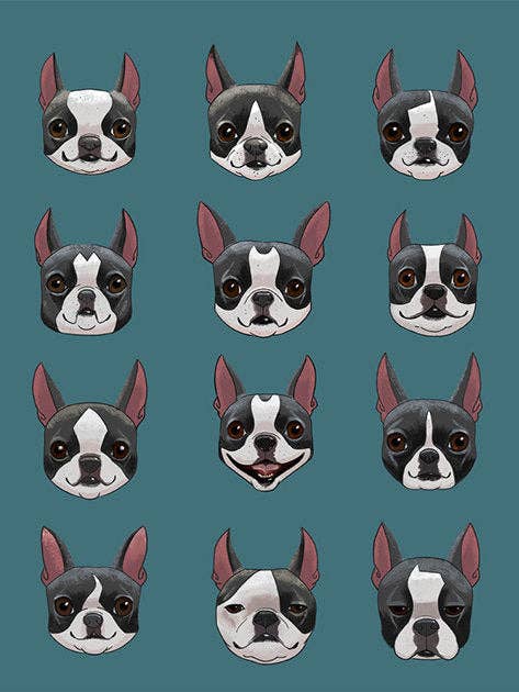 Boston Terrier-cadeaus, Boston Terrier Blazes voor wholesale door Brian Rubenacker studios