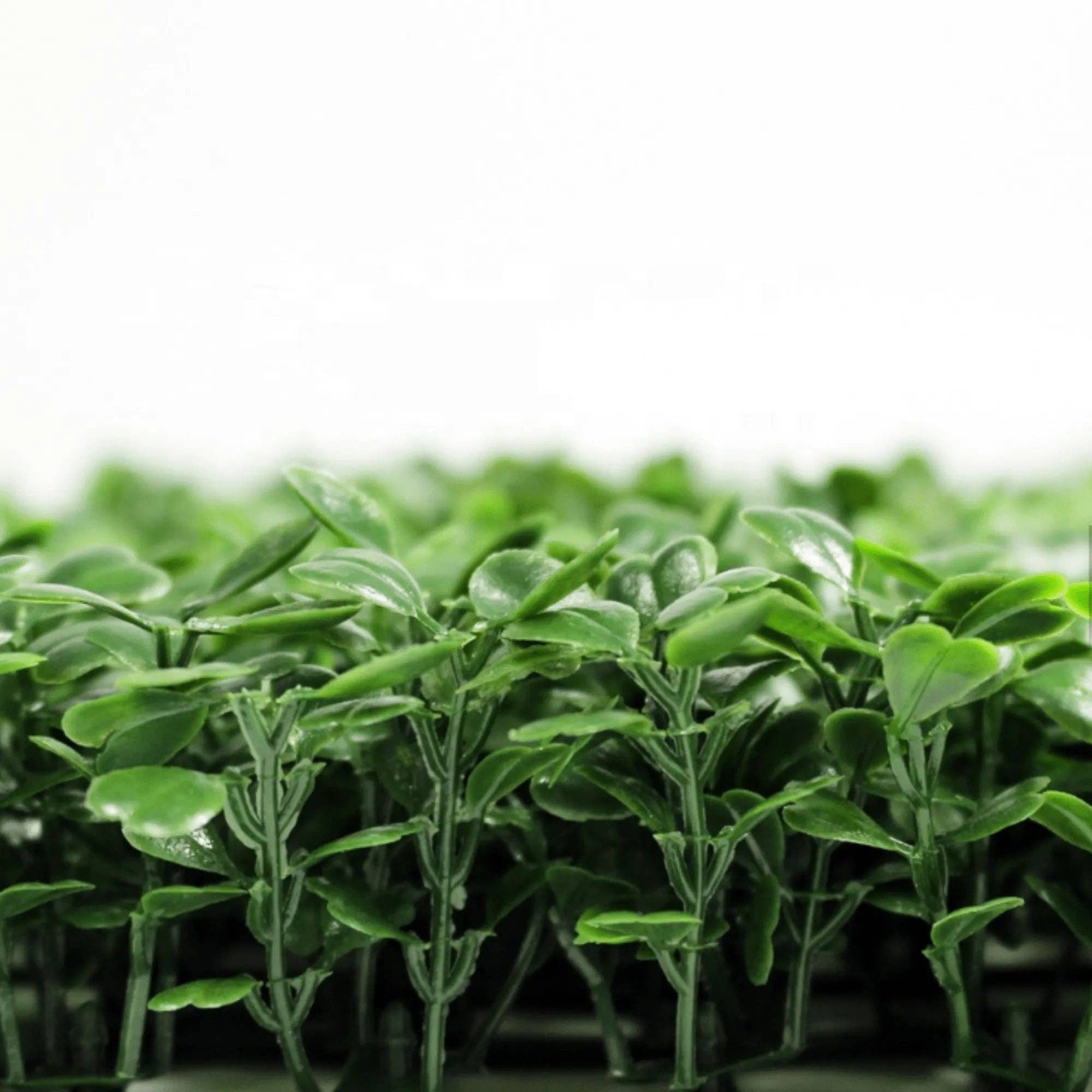 Designer Plants - Wholesale Artificial Plant - Dark Artificial Boxwood Wall 40" x 40" 11SQ FT Commercial Grade UV Resistant3