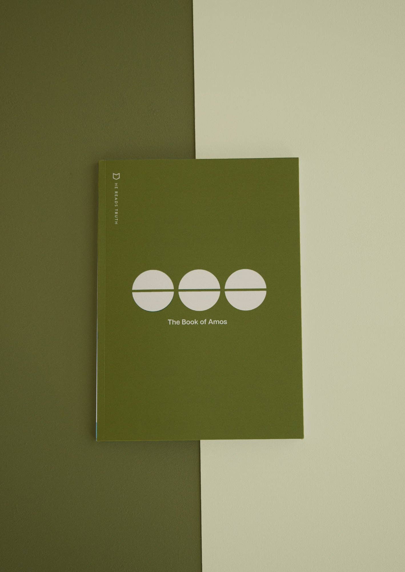 She Reads Truth - Wholesale Religion Book - Amos Men's Reading Guide1