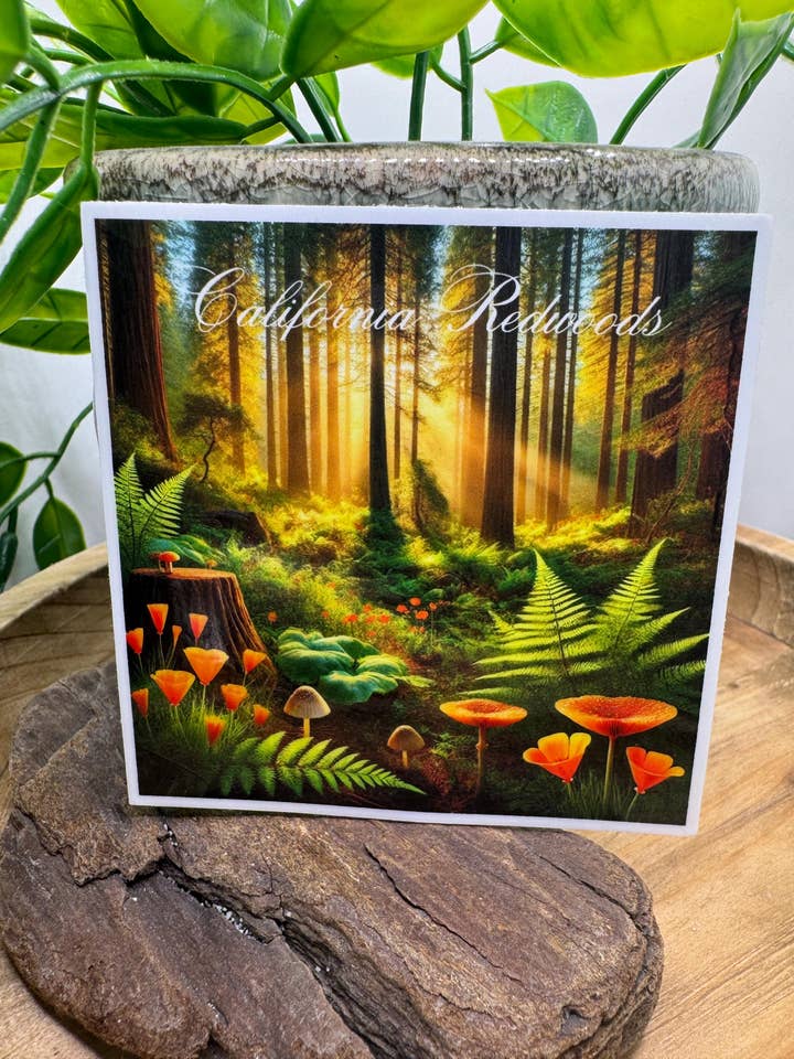 Californiske Rødtræer Blank Vinyl Skov Klistermærke 3 for engroshandel hos California Dreaming Co
