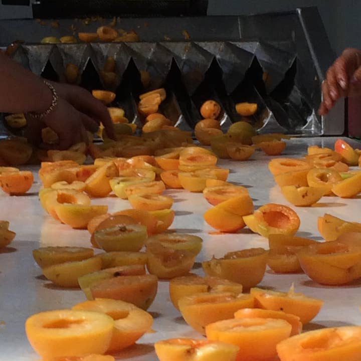 CONSERVES GUINTRAND - Wholesale Jam/Jelly - Apricot jam PG "extra" 314 ml (jar)1