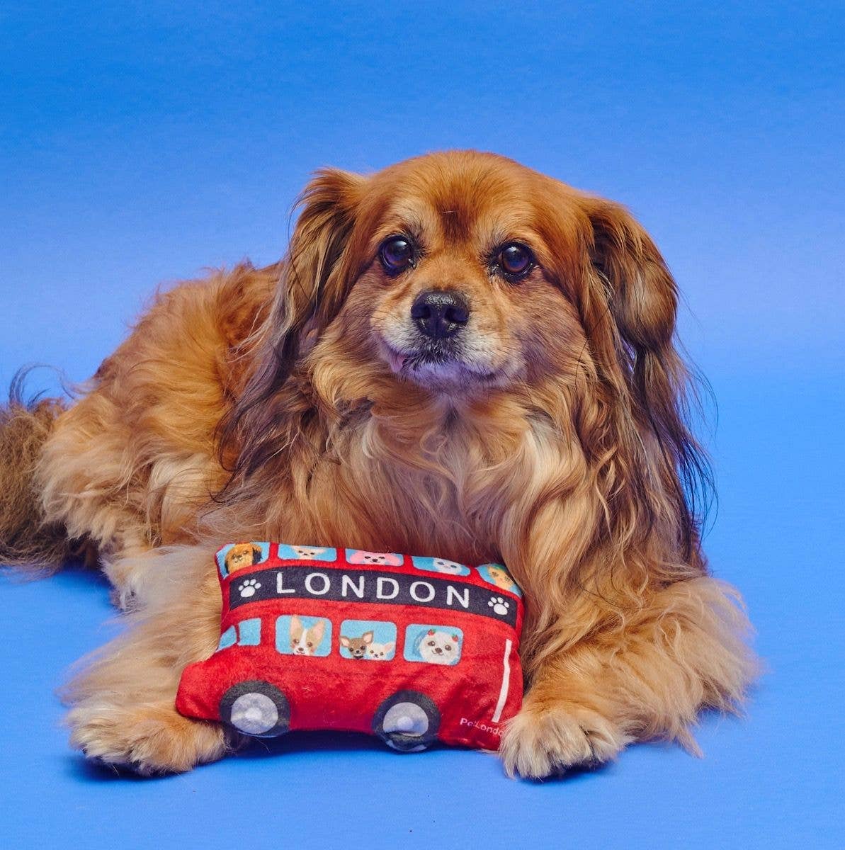 PetLondon – wholesale Pet plush toy – Dog – Mini London Bus Dog Toy2