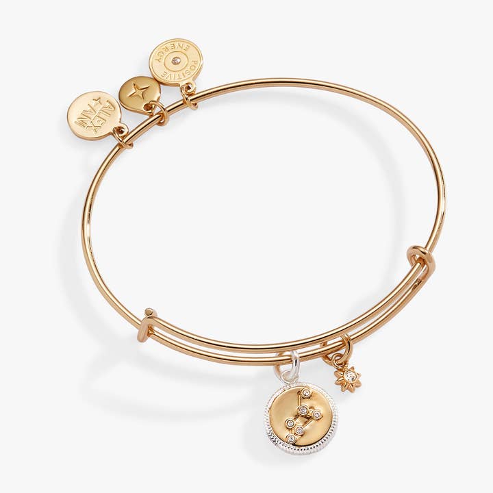 Leo Zodiac Charm Bangle for wholesale by Alex and Ani