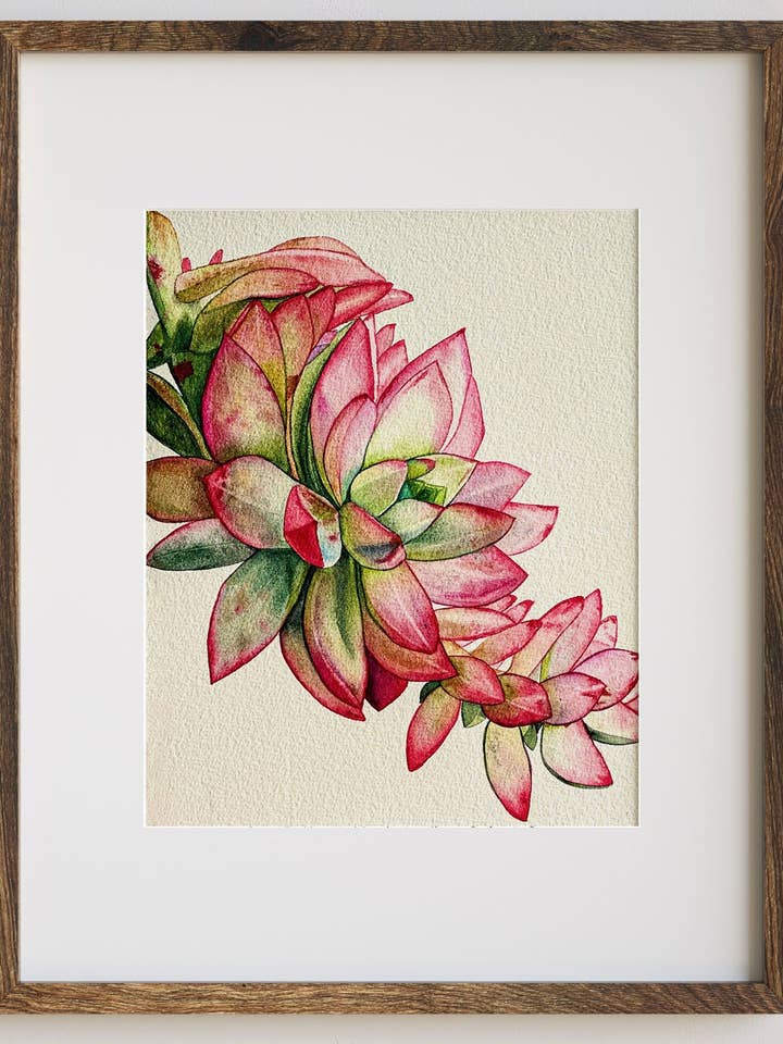 Hanging Succulent Art Print for wholesale by Jradartdesign