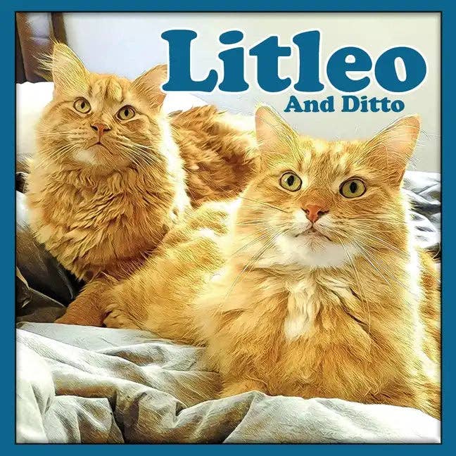 Books by splitShops - Wholesale Book - Kids - Litleo And Ditto - Paperback