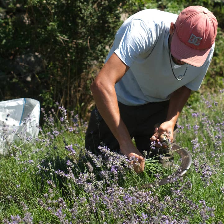 Kruut - Wholesale Sage Bundle - Take it easy incense bundle5