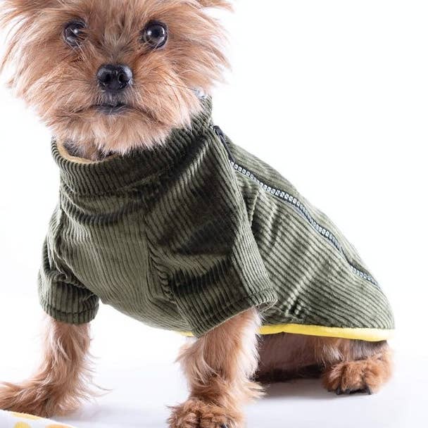 Groc Groc Grøn Corduroy Hundefrakke Chiu Boton Earl Grå for engroshandel hos Groc Groc