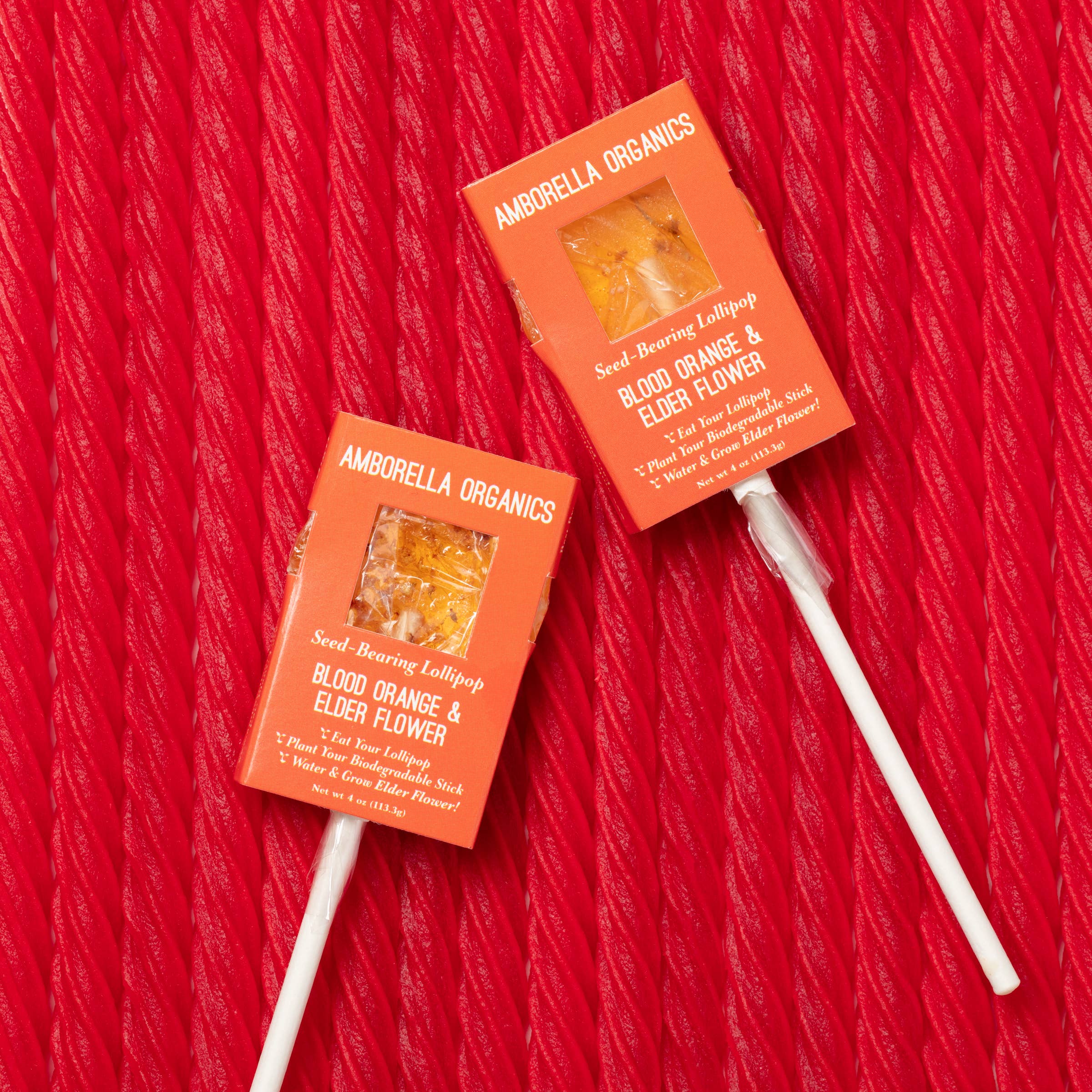 Amborella Organics - Wholesale Lollipop - Halloween Lollipop 8 Pack (Eat, Plant & Grow a Herb/Flower)11