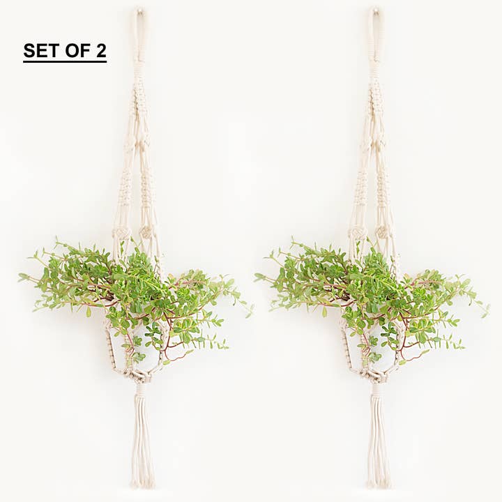 CANTON, IVORY, JUEGO DE 2 MACETEROS, 36 «x 36" para venta al por mayor de chardin home