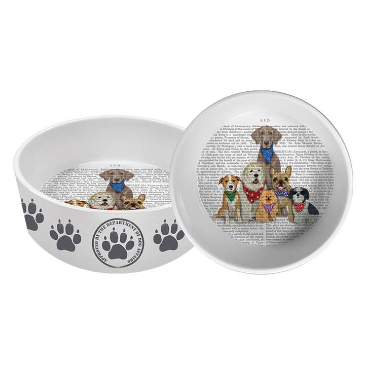 Paw Paw Gang Pet Bowl large for wholesale by ppd Paperproducts Design GmbH