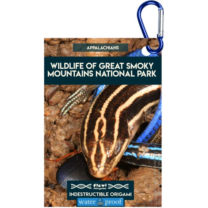 Vida Selvagem do Parque Nacional das Grandes Montanhas Fumegantes - Origami Indestrutível por atacado de Flexi Field Guides