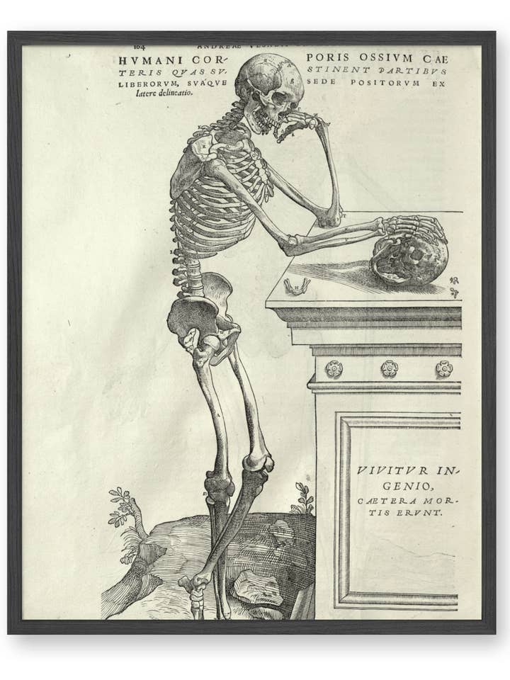 Vésale - Anatomie humaine pour la vente par Knot & Soul