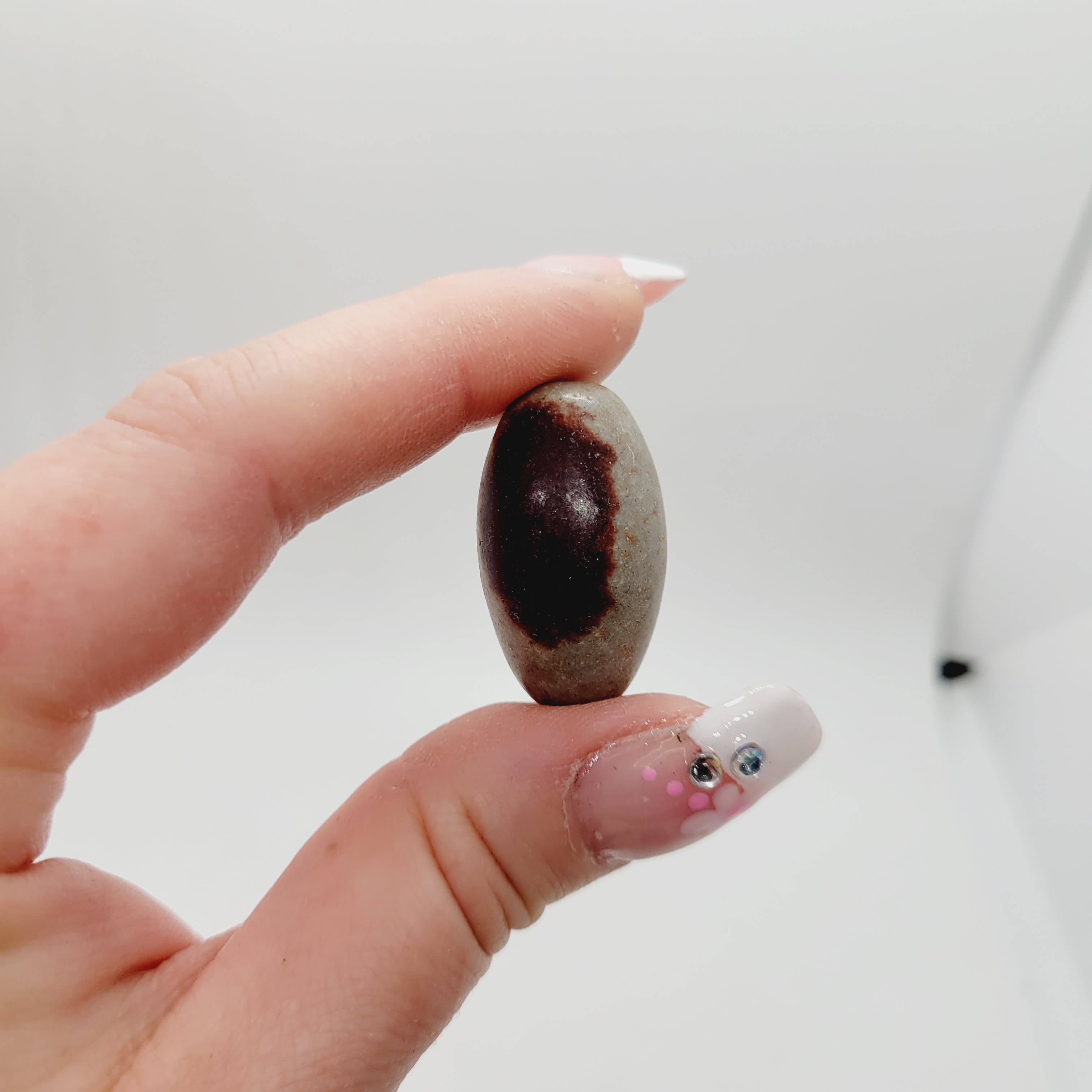 The Raven's Edge - Wholesale Spiritual Stone/Crystal - Shiva Lingam Stone Metaphysical Reiki Spa1