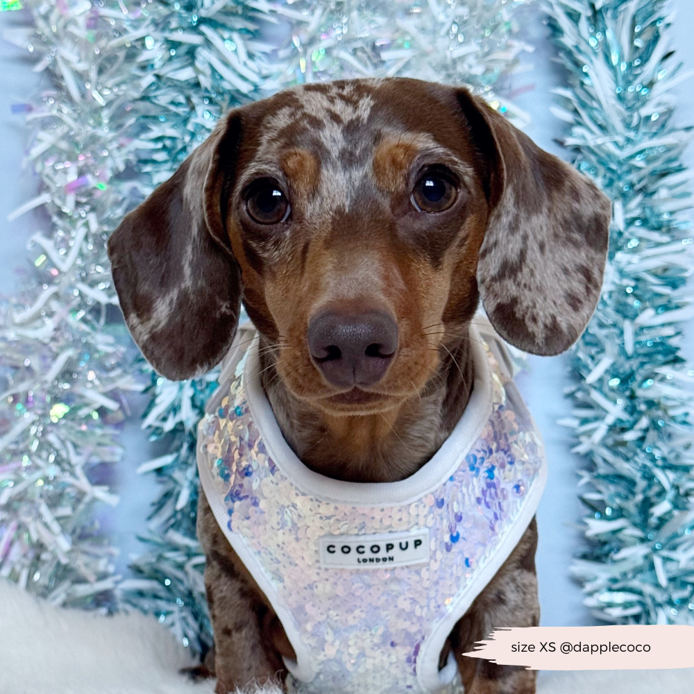 Cocopup London - Vendita all'ingrosso Pettorina - Cani - Imbracatura LUXE Party con Paillettes Olografiche8