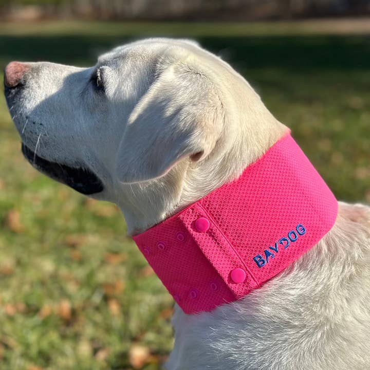 BAYDOG - Wholesale Pet Collar - Dog - Arctic Bay Dog Cooling Collar