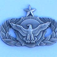 Sr. AF Security Police Pin w/2 clutches for wholesale by Military Patches & Pins