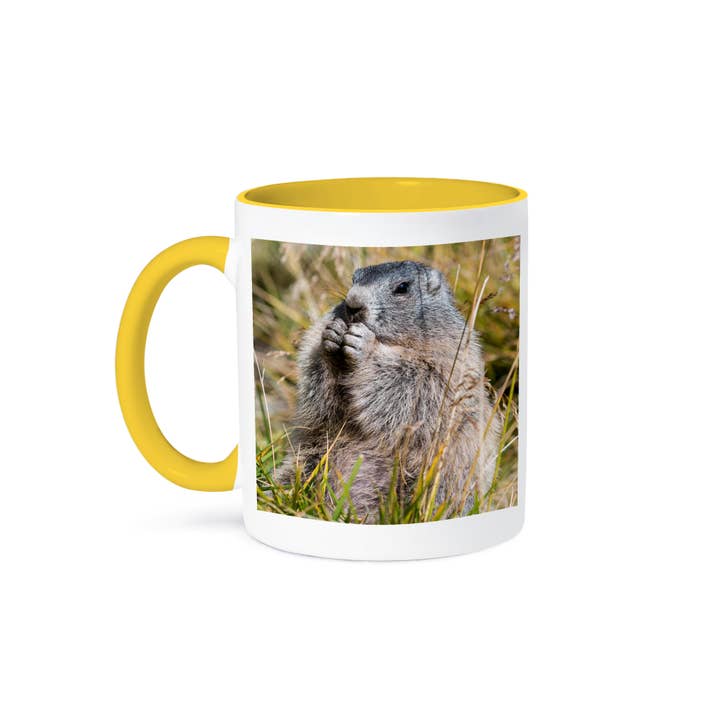 3dRose - Wholesale Coffee Mug - 3dRose, Alpine Marmot in the Hohe Tauern, Austria, Mug