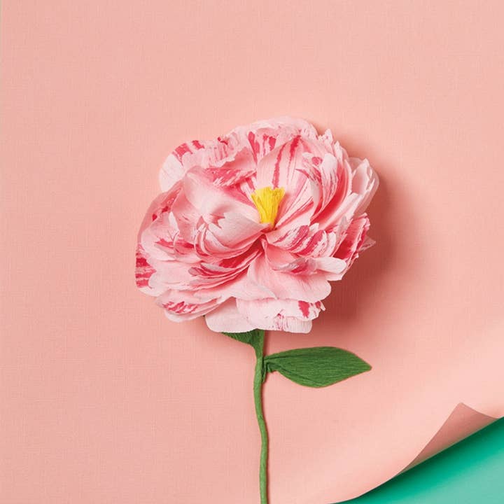 Journey of Something USA - Wholesale DIY Craft Kit - Paper Flower Making Craft - DIY Adult Craft Kit9