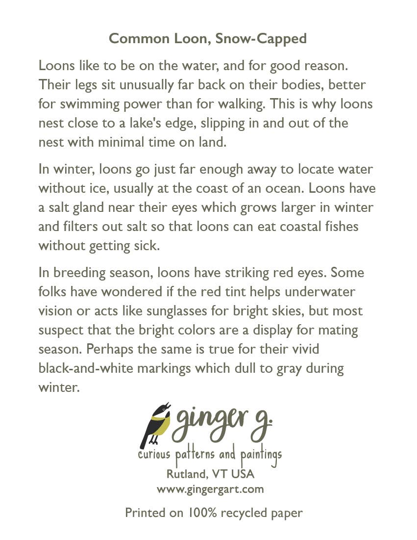 Ginger G. Art - Wholesale Everyday Greeting Card - Snow-Capped Common Loon Winter Bird Holiday A2 Card1