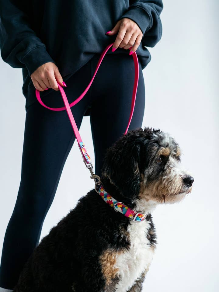 Paint Splash Biothane Leash for wholesale by Barking Fancy