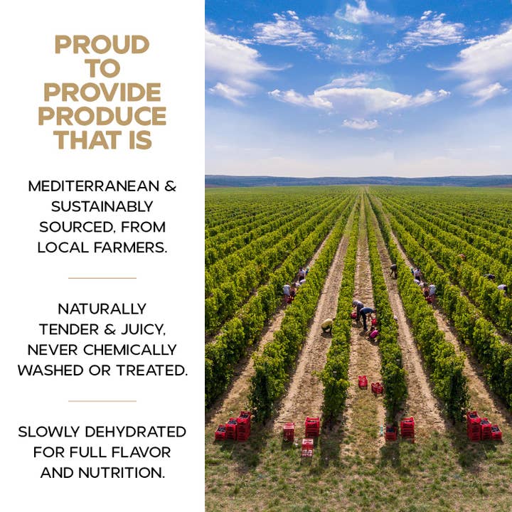 DRYBOX - Wholesale Dried/Dehydrated Fruit - Drybox Dried White Mulberries 1.5oz Mini Packs 5 Packs/BAG6