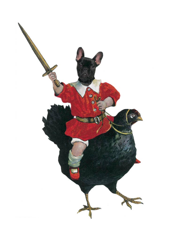 Valp på en kyckling för wholesale av Rare Bird