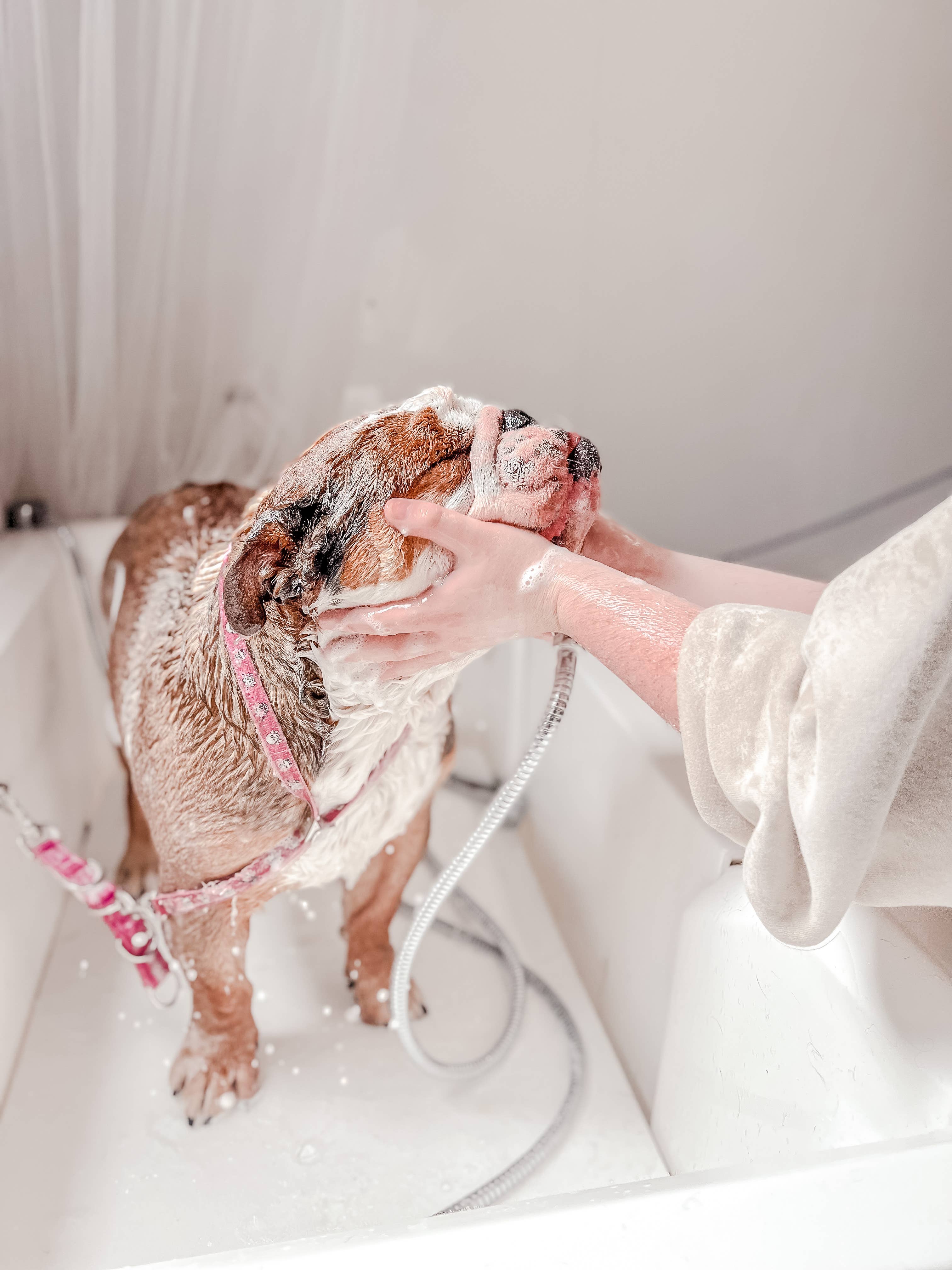 Peanut & Pickle LTD – wholesale Pet shampoo – Dog – Baby Powder - Botanical Dog & Puppy Shampoo2