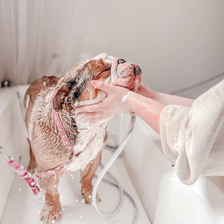 Peanut & Pickle LTD – wholesale Pet shampoo – Dog – Baby Powder - Botanical Dog & Puppy Shampoo2