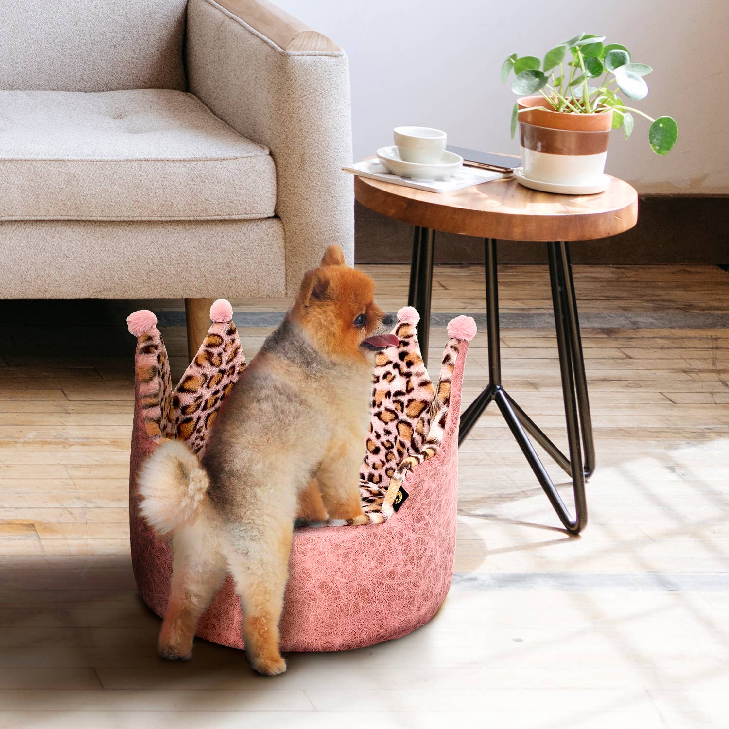 Precious Tails - Wholesale Pet Bed - Cat/Dog - Precious Tails Leopard Print Crown Pet Bed17