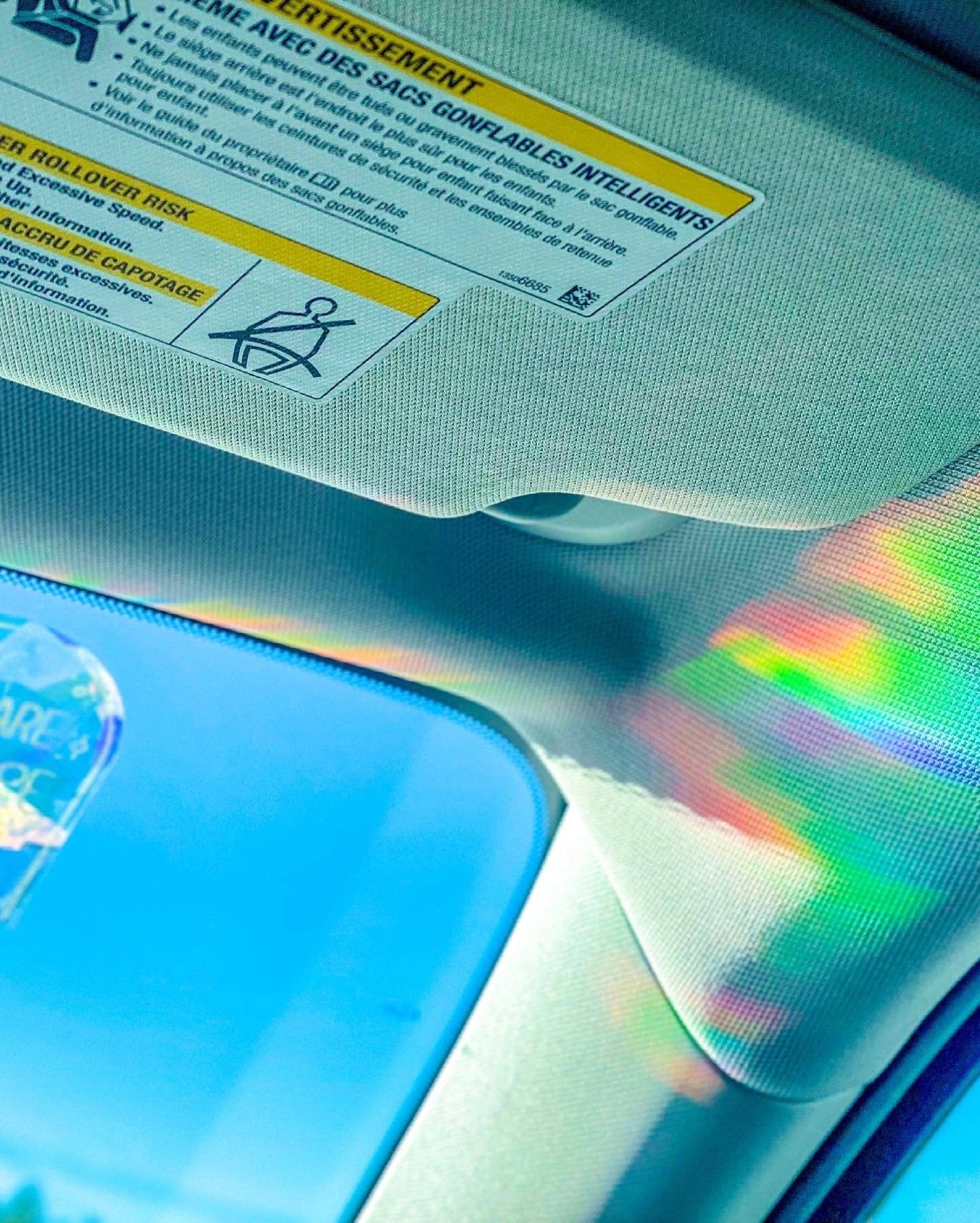 Sunbeam Shop Co - Wholesale Suncatcher - Valkyrie Book Club Suncatcher Sticker6