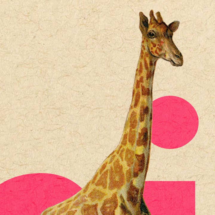 Pictrix Design - Wholesale Everyday Greeting Card - “Hi. (giraffe)" A2 greeting card4
