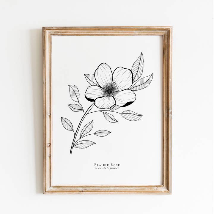 Stampa floreale dello stato dell'Iowa | Stampa floreale rosa della prateria per la vendita all'ingrosso da parte di Erika Layne Art
