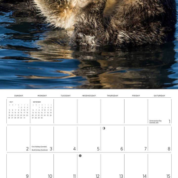 Pomegranate – wholesale Calendar – Sea Otters: Photographs by Tom and Pat Leeson 2026 Wall Calendar3