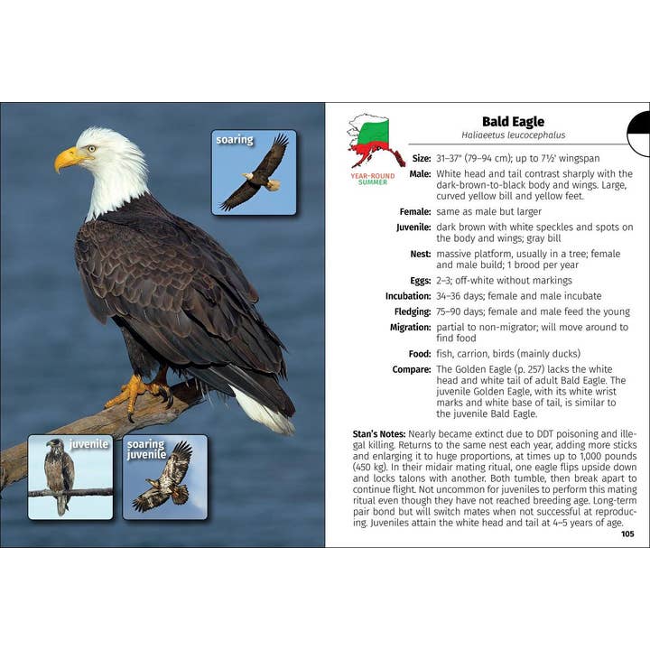 AdventureKEEN - Wholesale Nature Guide - Birds of Alaska Field Guide 2e