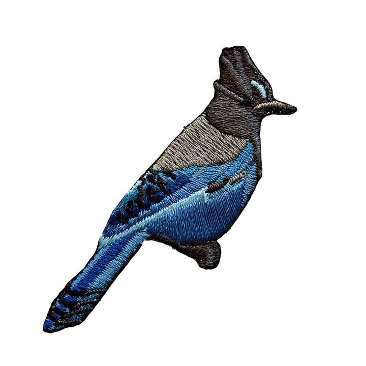 Steller's Jay Patch for wholesale by Bird Collective