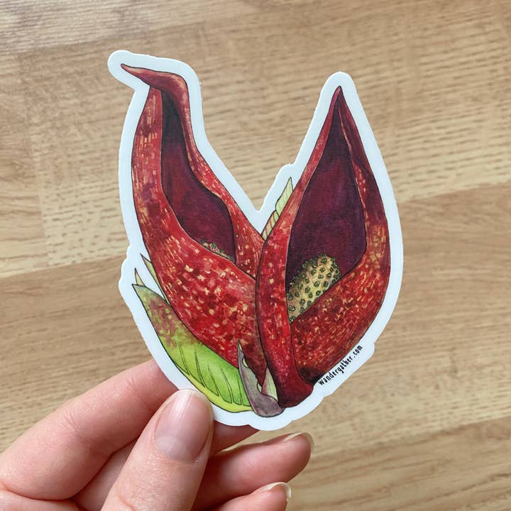 Wander & Gather - Wholesale Sticker - Skunk Cabbage Wetland Wildflower Waterproof Sticker