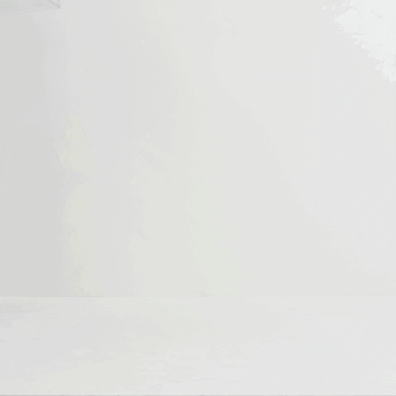 Hiddin - Wholesale Pet Carrier - Dog - Small Crate (Gold Latch)40